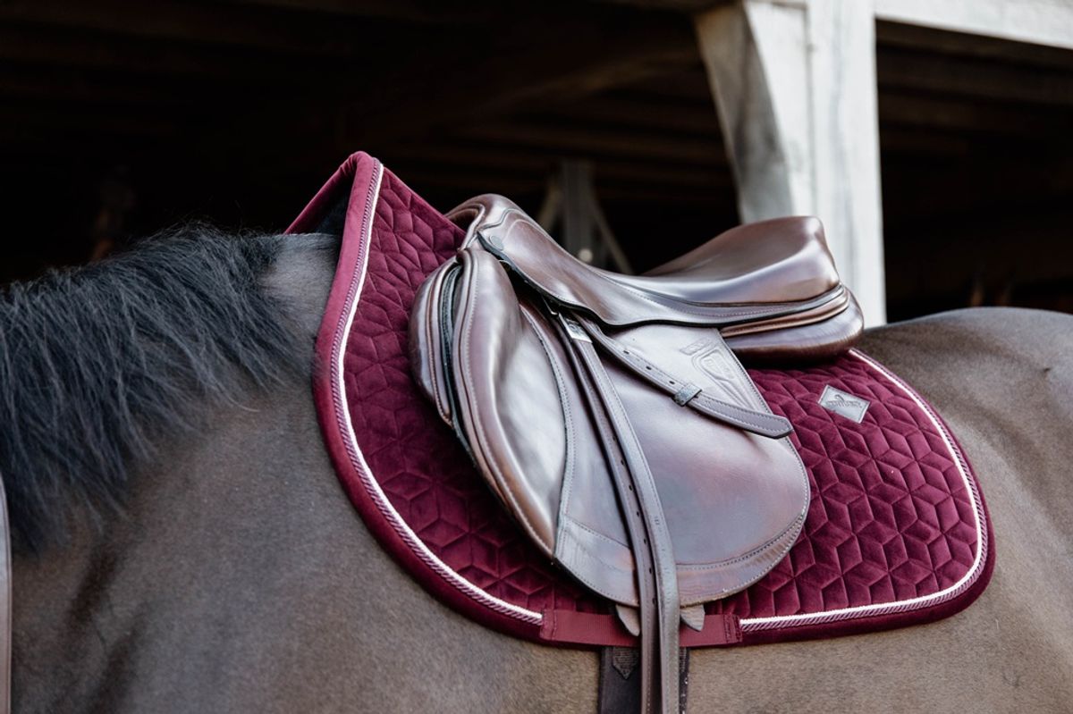 Kentucky Velvet Sprang Schabrak