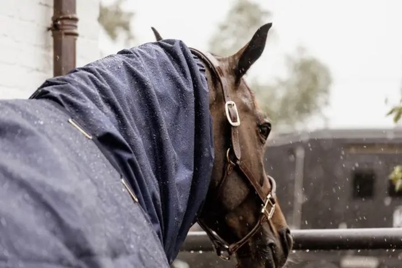 Kentucky Waterproof Scarf