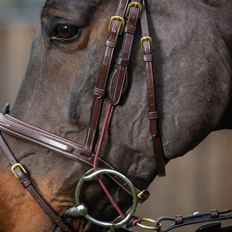 Gagstrap med avtagbar ring - Dyon Collection