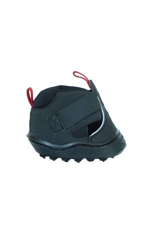 Equine Fusion Trekking Shoe