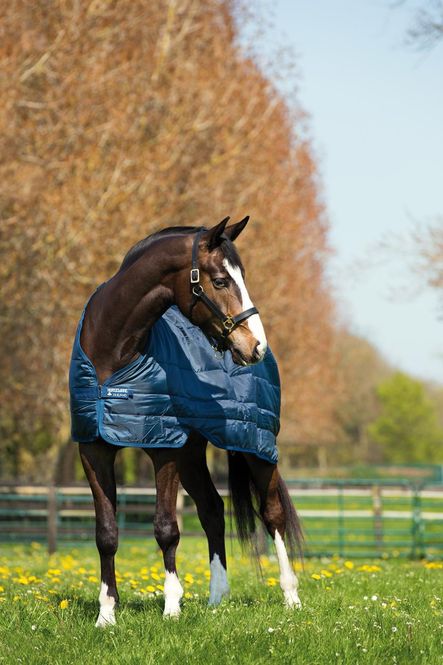 Hovedbilde Horseware Liner 100gr