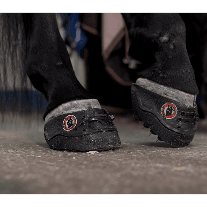 Equine Fusion 24/7 Jogging Limsko