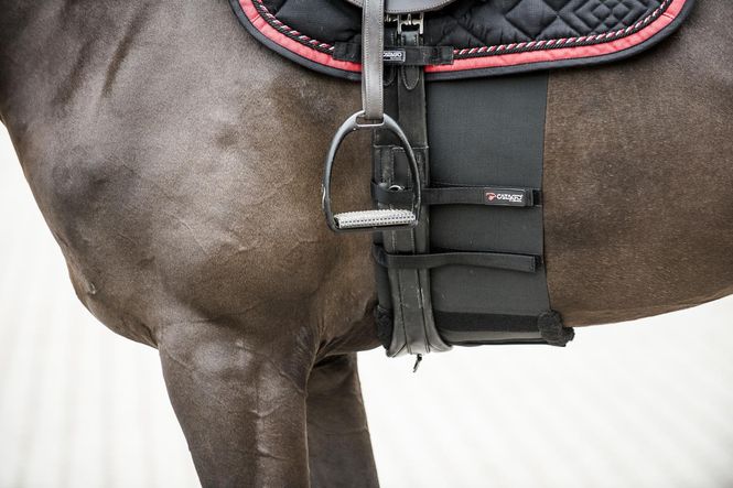 Hovedbilde Catago Body Shield