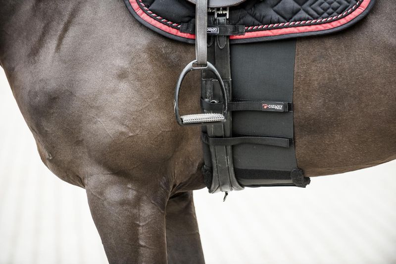 Catago Body Shield