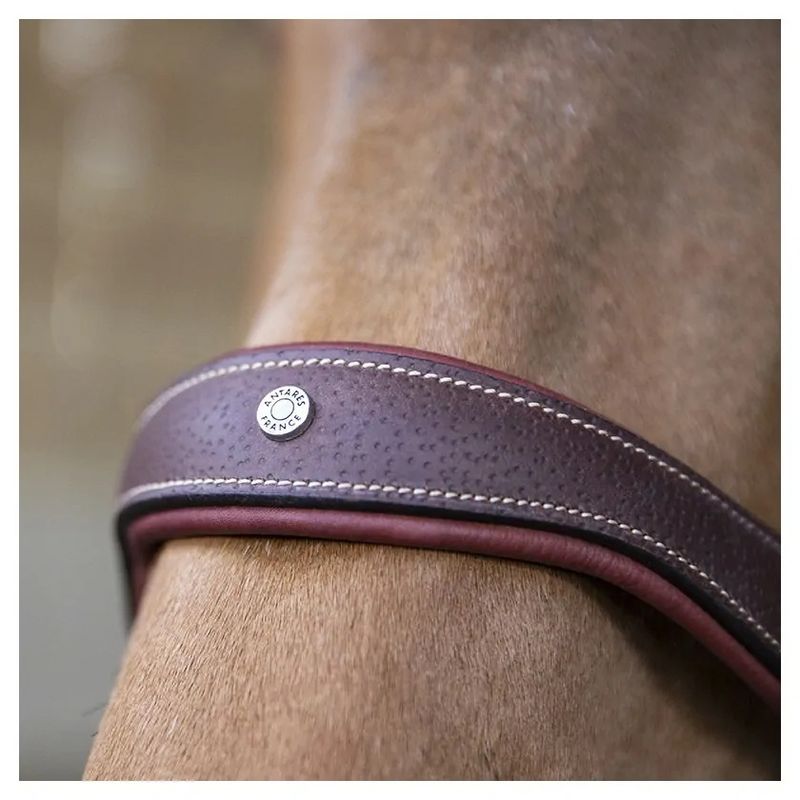 Antares Stressless Grime