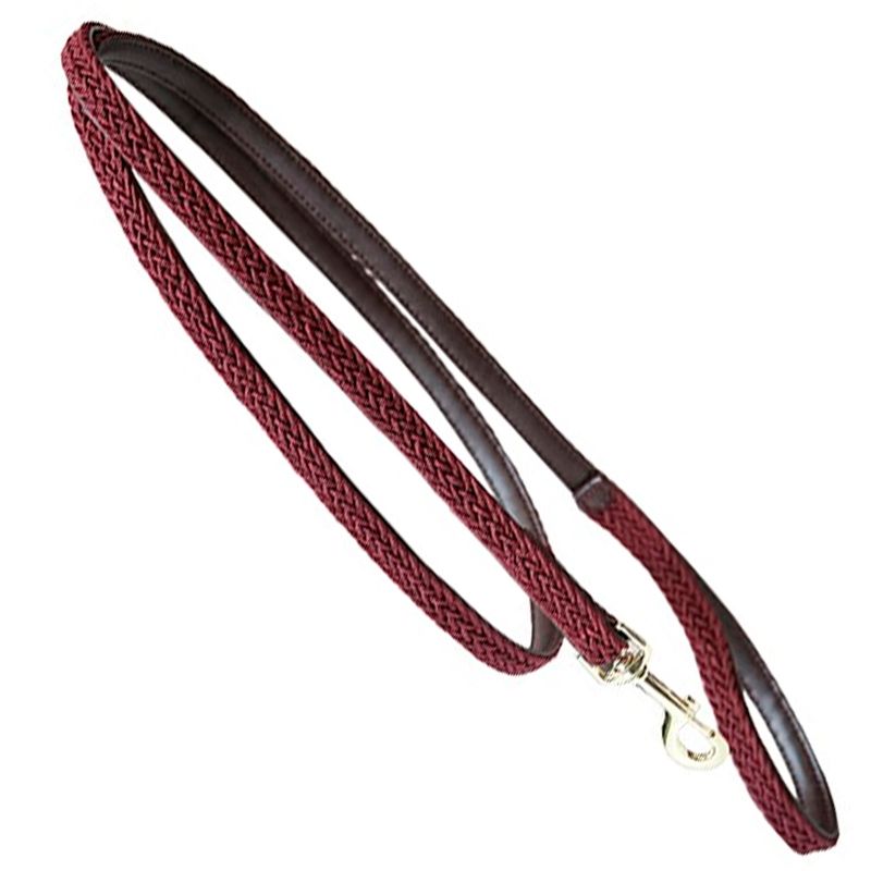 Kentucky Plaited Nylon Dog Lead