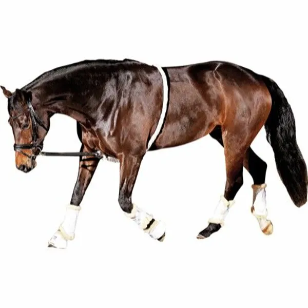 Hovedbilde HorseGuard Soft Longeringshjelp