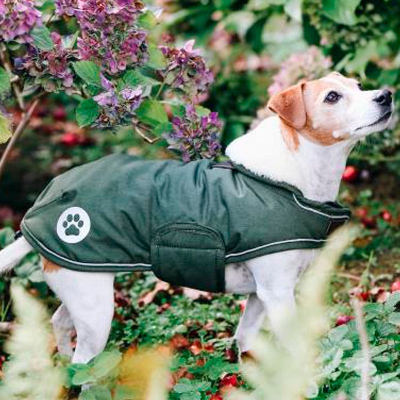 Kentucky Dog Rug Waterproof