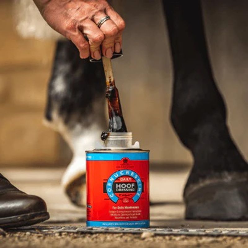 CDM Daily Hoof Dressing