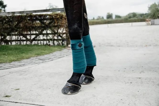 Hovedbilde Kentucky Velvet Polar Fleece bandasjer