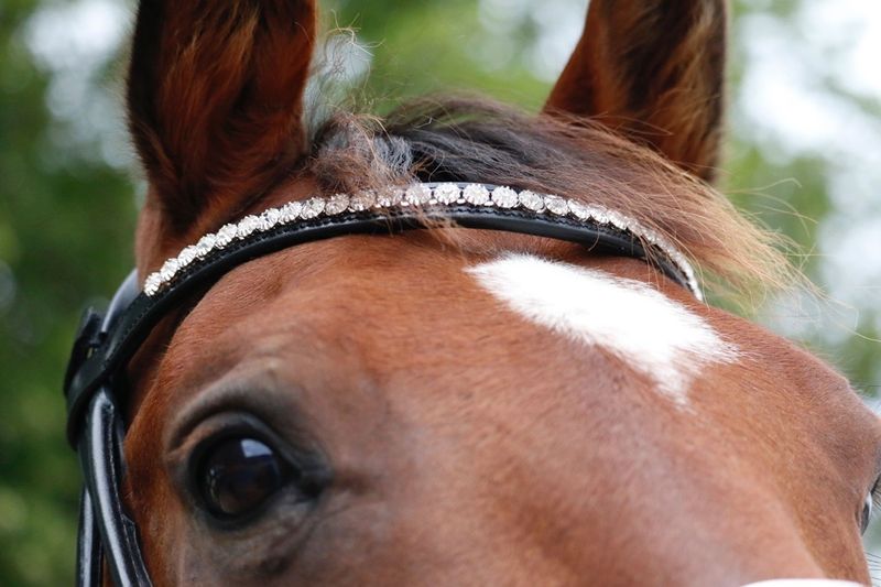 SE Design Granat Rundsydd Dressurhodelag