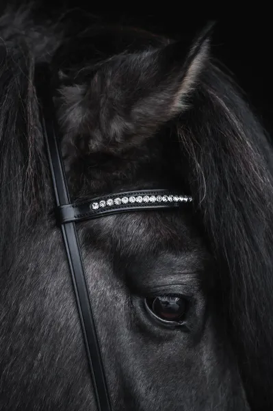 Hovedbilde Top Reiter Demantur Nakkereim - Krystall