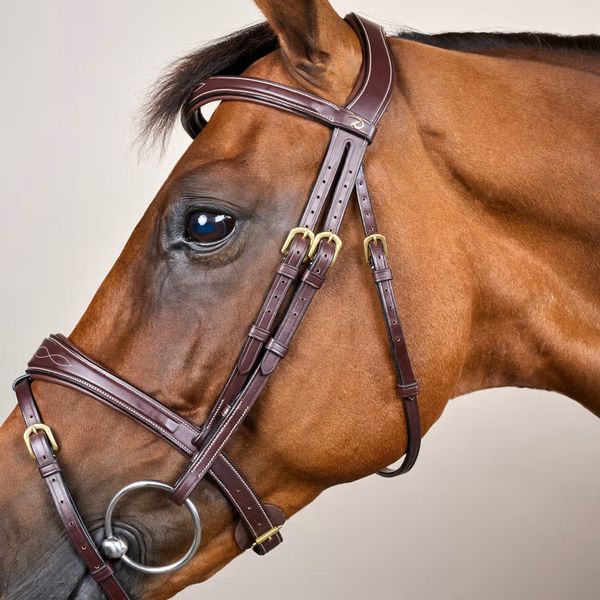 Hovedbilde Dyon Collection Anatomisk hodelag med mønstersøm