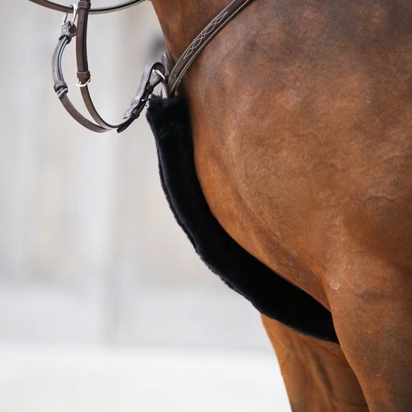 Hovedbilde Kentucky Lammeskinn beskytter til Martingal og ...