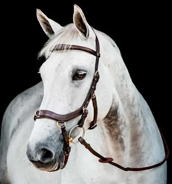 Hovedbilde Horseware Micklem Multi Hodelag 