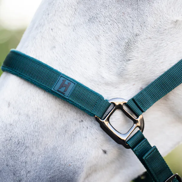 Hovedbilde Horseware Grime og Leietau - Dynasty Green