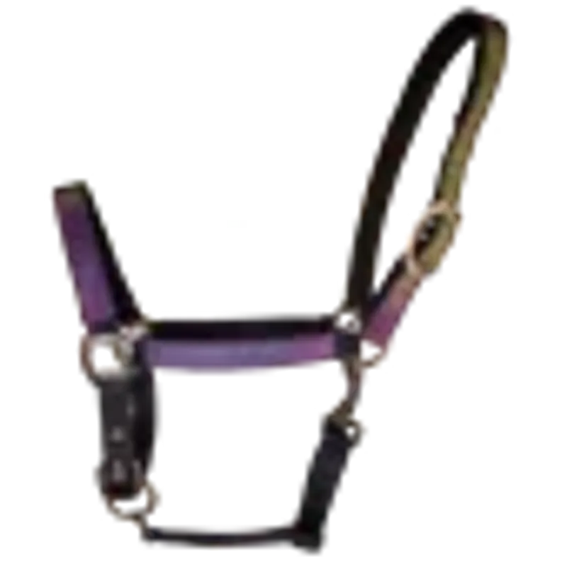 Rainbow Refleksgrime 