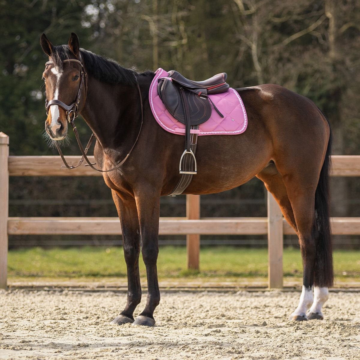 Lyvia Sprang Schabrack