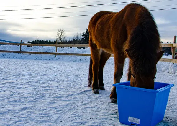 Hovedbilde Varmebalje 60 liter inkl. omformer - Blå