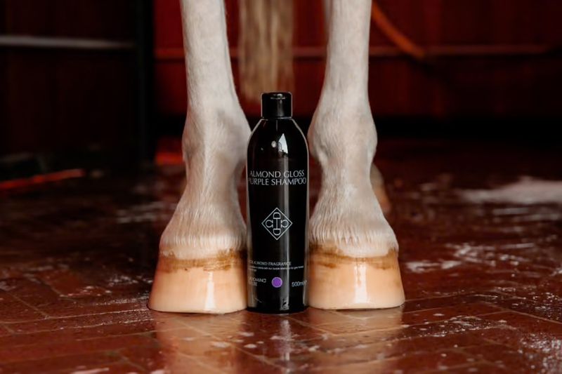 Grooming Deluxe Almond Gloss Purple Shampo