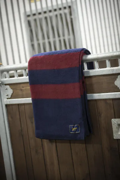 Hovedbilde Lippo Ullteppe - Vinrød