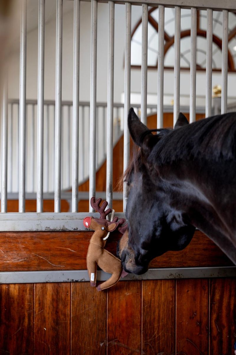 HG Hesteleke - Reinsdyr 