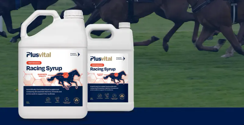 Plusvital Racing Syrup 2L