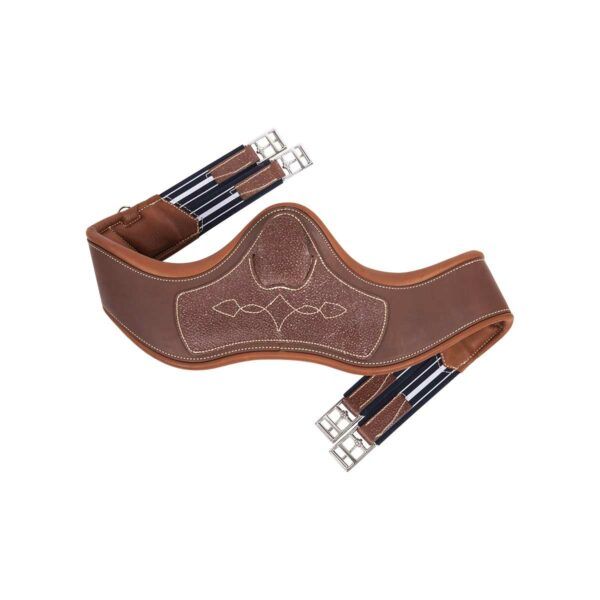 Hovedbilde Antares anatomisk gjord