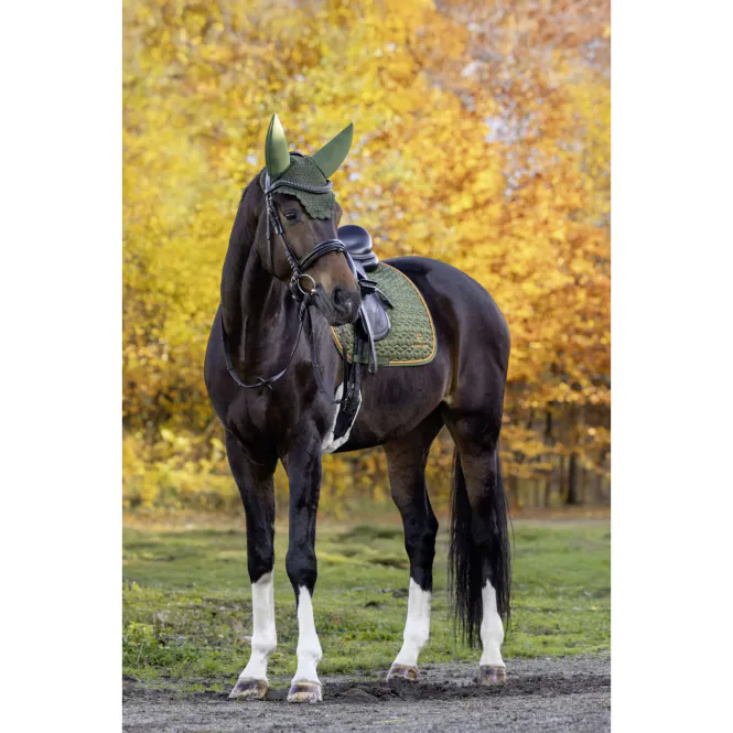 Hovedbilde Covalliero Soft Dressurschabrak - Forest Green