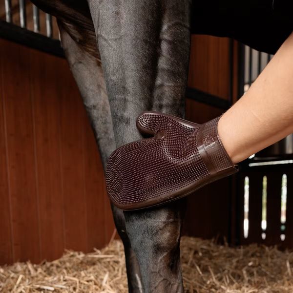 Hovedbilde Grooming Deluxe Pussehanske 