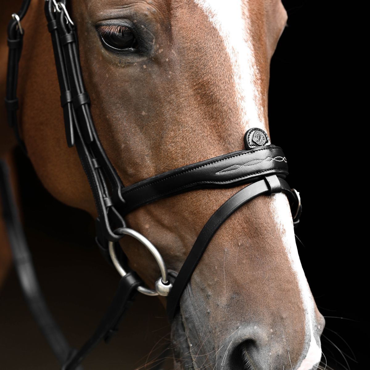 Antares Signature Hodelag