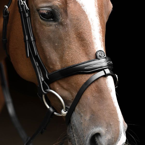 Hovedbilde Antares Signature Hodelag