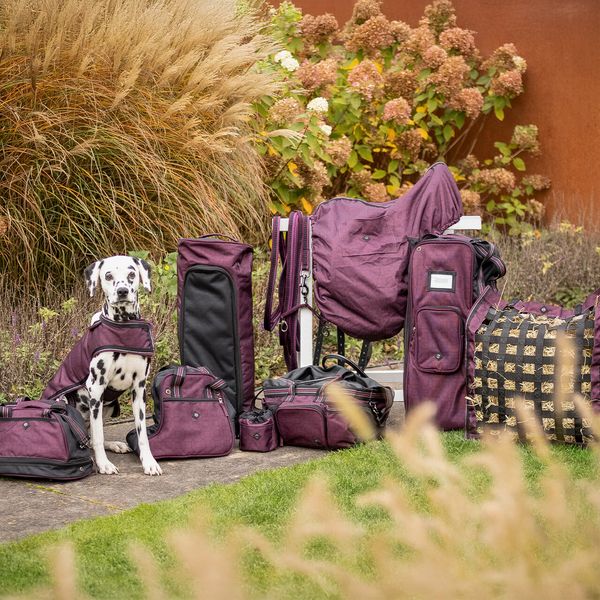 Hovedbilde QHP Hjelmbag