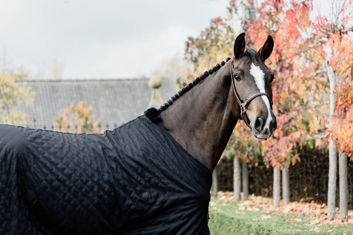 Kentucky Stable Rug 0gr