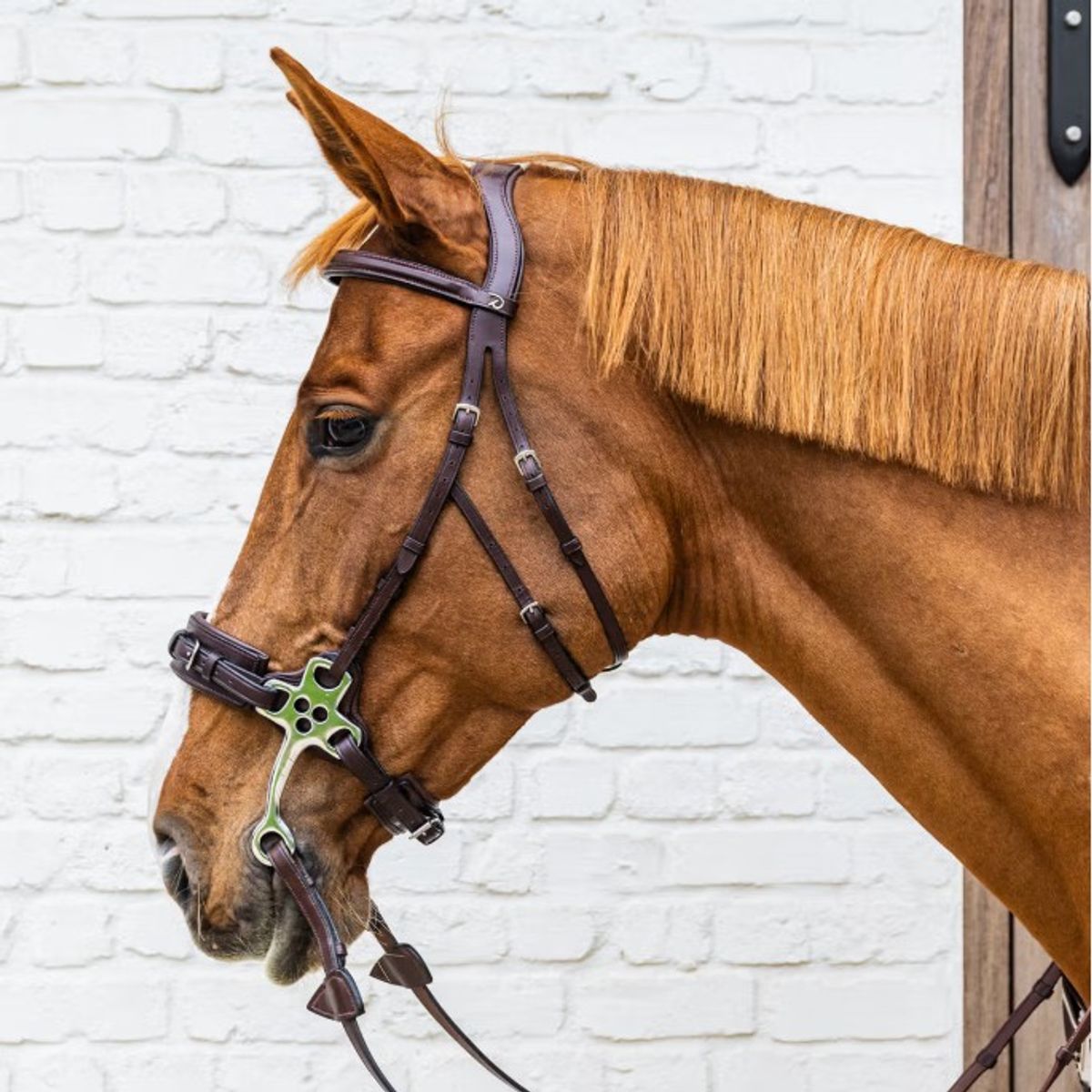 Dyon Hackamore Hodelag - New English 
