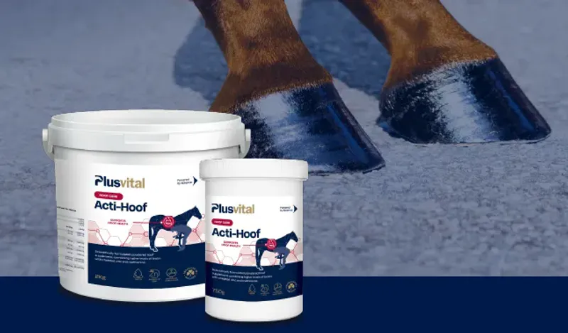 Plusvital Acti-Hoof 2kg