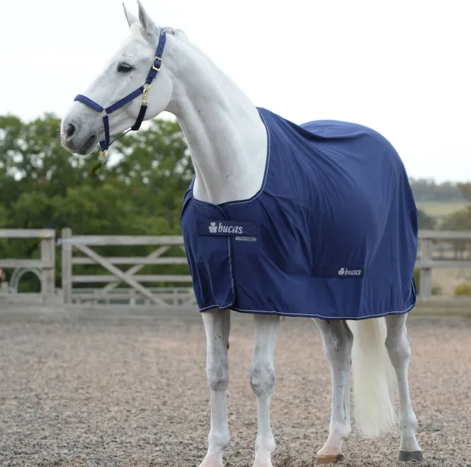 Hovedbilde Bucas Power Cooler - Navy/Silver