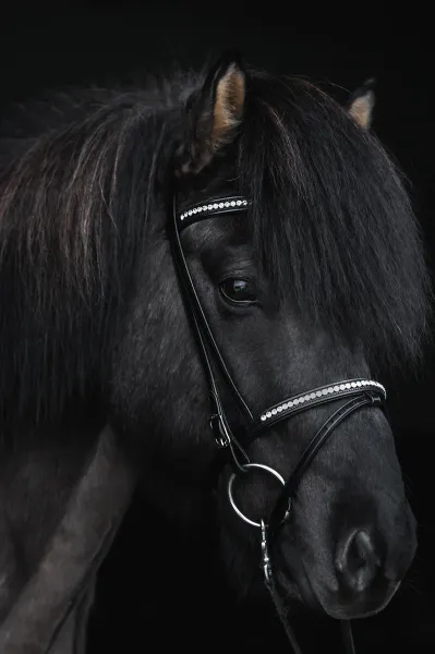 Hovedbilde Top Reiter Demantur Kombinert Nesereim - Krystall