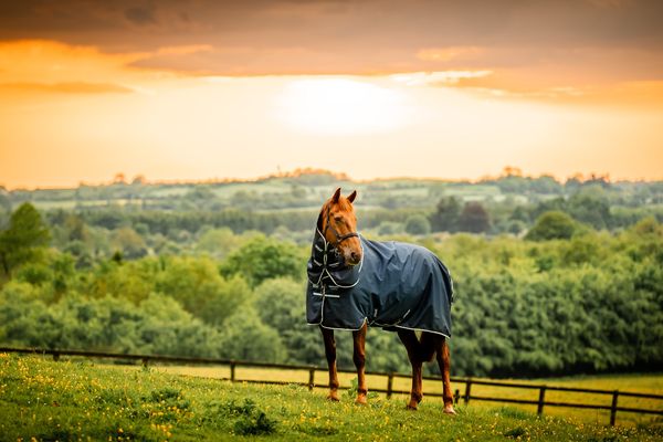 Hovedbilde Amigo Ripstop 900D Plus Ponni 100g - Witney Navy