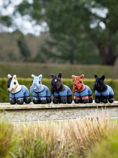 Hovedbilde LM Tiny Pony 