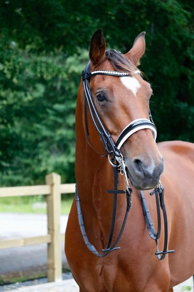 Hovedbilde SE Design Jade Rundsydd Kandar Hodelag