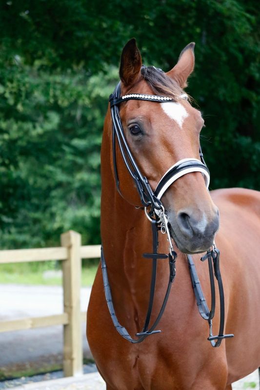 SE Design Jade Rundsydd Kandar Hodelag