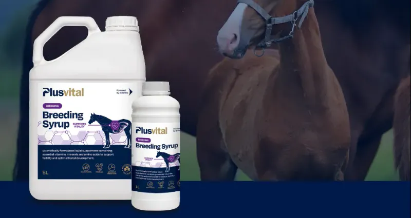 Plusvital Breeding Syrup 5L