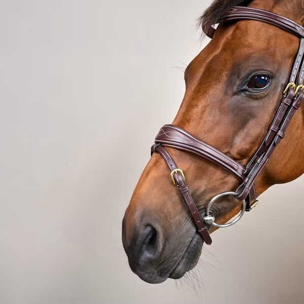 Hovedbilde Dyon Collection Anatomisk hodelag med mønstersøm