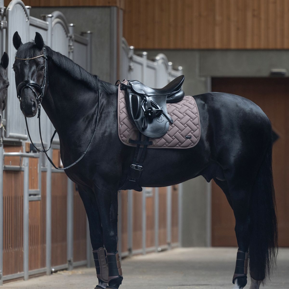 KLLexie Dressur Schabrack