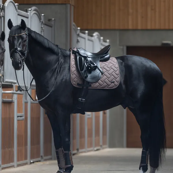 Hovedbilde KLLexie Dressur Schabrack