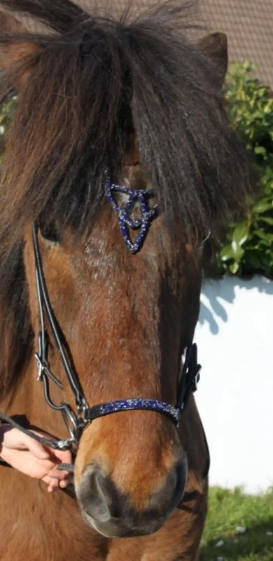 Hesta Gallery Lukka Nesereim - Flere Farger