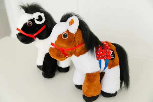 Hovedbilde Piccoli Paint Hest - Elena