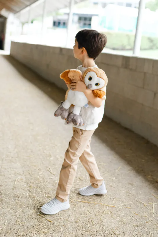 Piccoli Ugle - Albus Dag