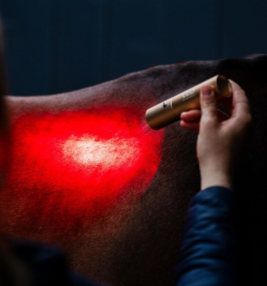 Horseware LED Red Light Therapy Wand
